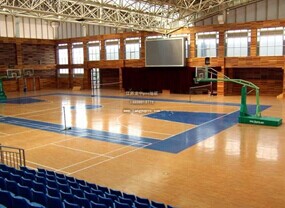 實木運動地板,運動地板,運動木地板,籃球運動地板